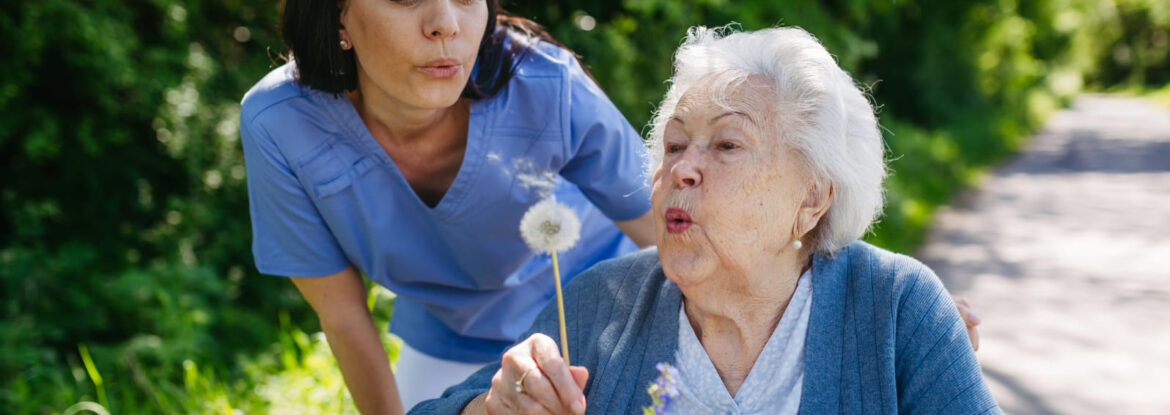 domestic care support services in uk